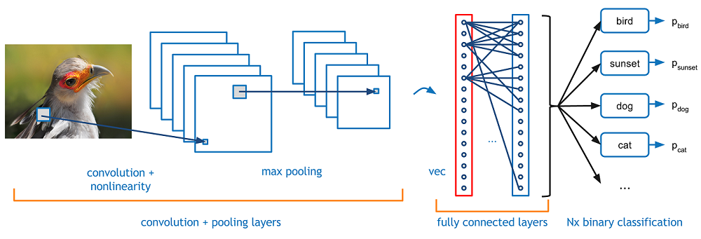 Convolutional Neural Networks