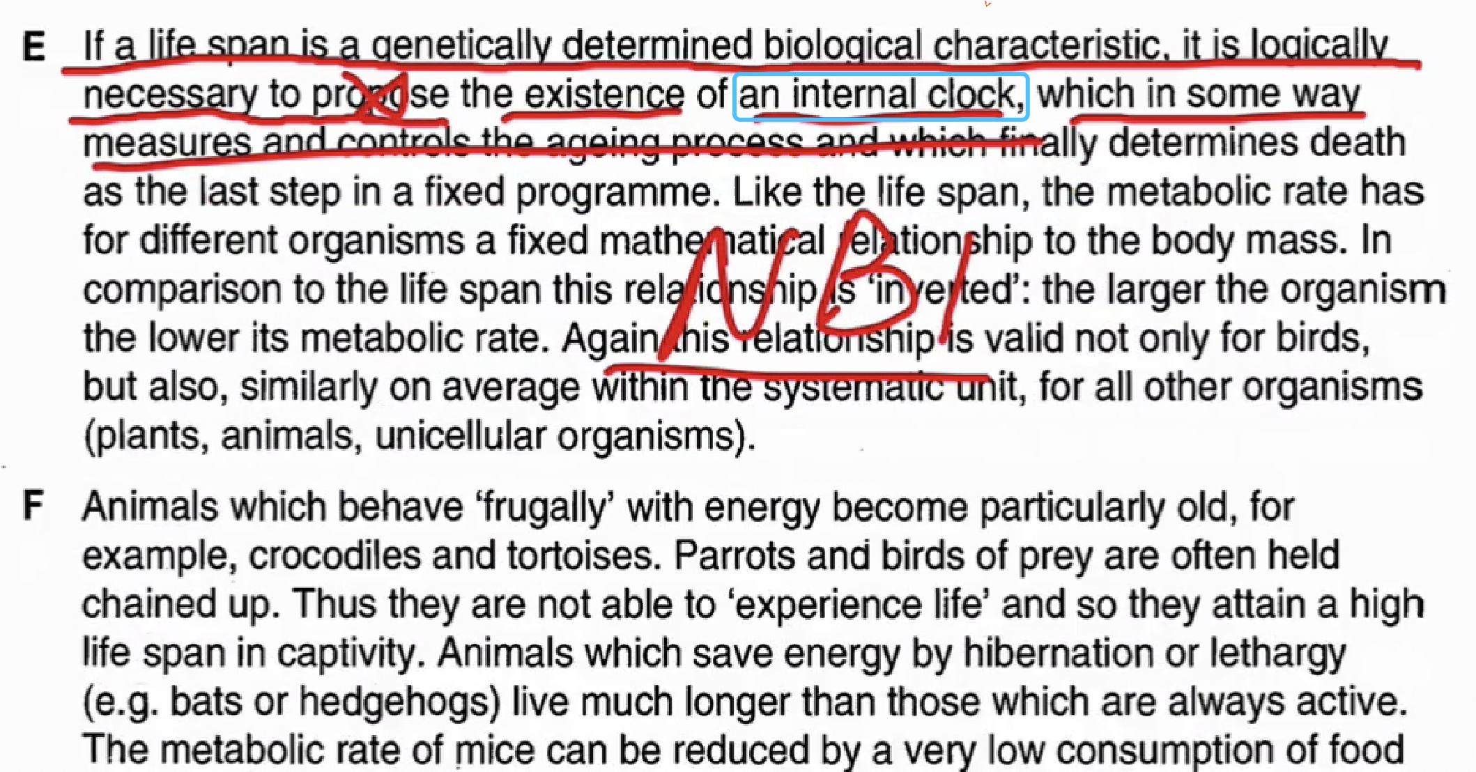 B paragraph 空着，C paragraph的答案