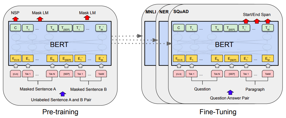 Bert的预训练和微调（图片来自Bert的原论文)